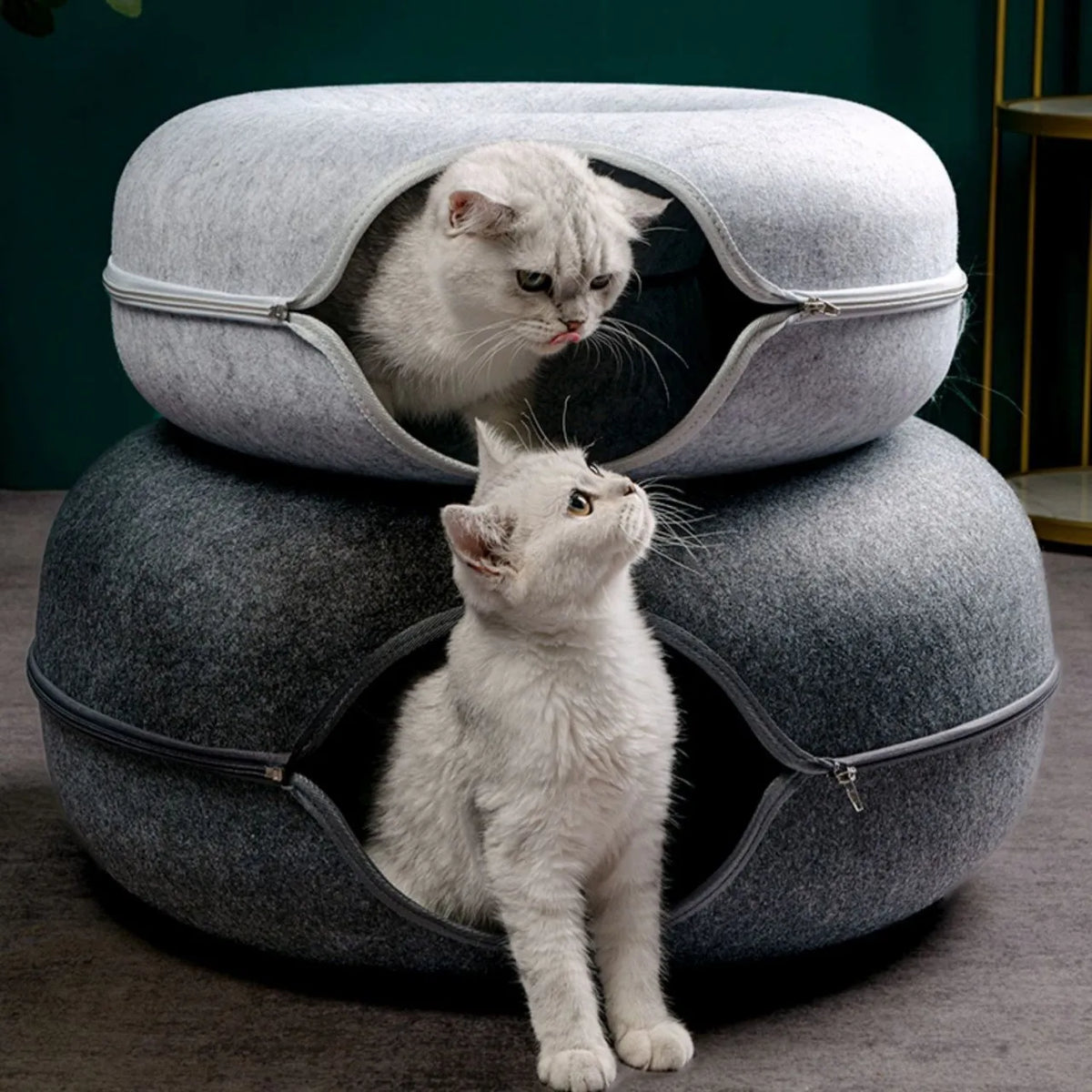 Cozy Cat Tunnel Bed Retreat