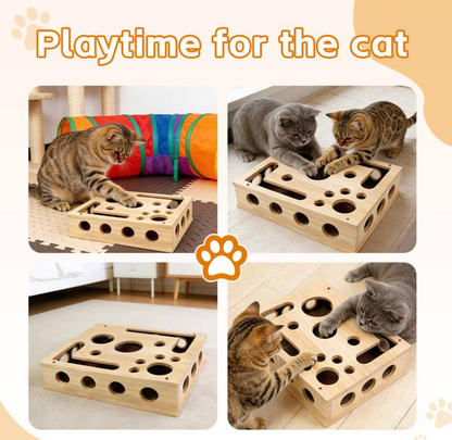 PETIQ™ Cat Scratch & Groom Puzzle Box